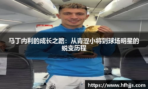 马丁内利的成长之路：从青涩小将到球场明星的蜕变历程